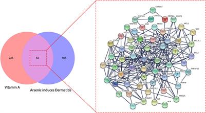 Insight Into Biological Targets and Molecular Mechanisms in the Treatment of Arsenic-Related Dermatitis With Vitamin A via Integrated in silico Approach